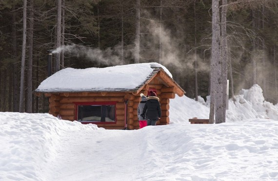Chalet en Bois Rond Chalet en Bois Rond