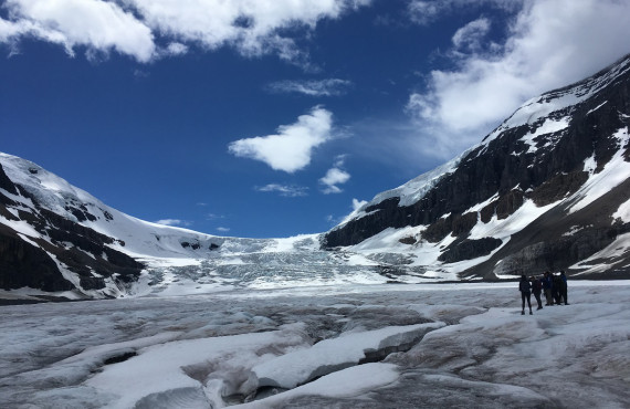 glacier athabasca