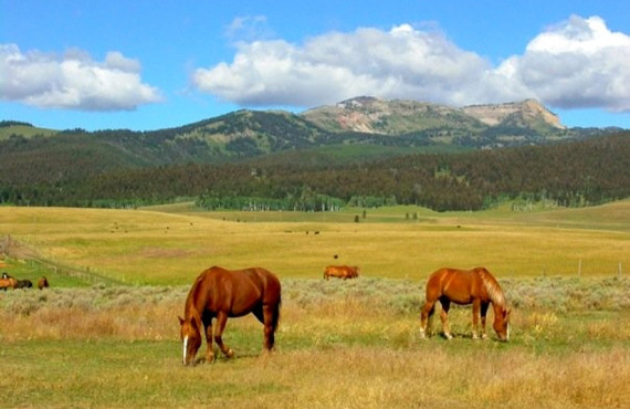7-yellowstone-koa.jpg 7-yellowstone-koa.jpg