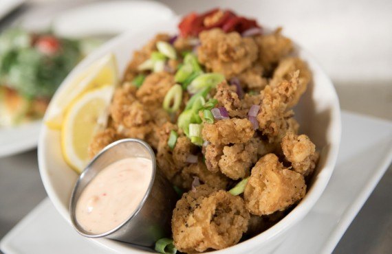 Calamari Calamari