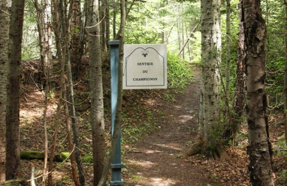 Sentier du Champignon Sentier du Champignon
