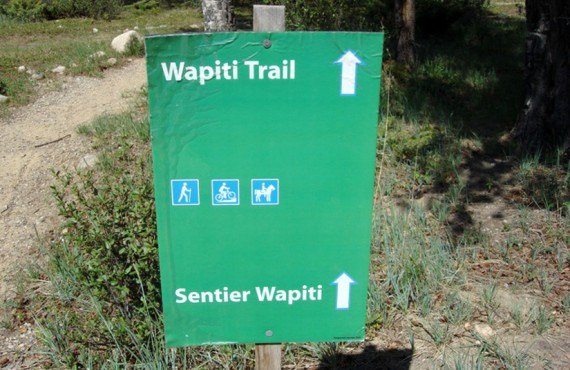 Camping Wapiti - Sentier Wapiti Camping Wapiti - Sentier Wapiti