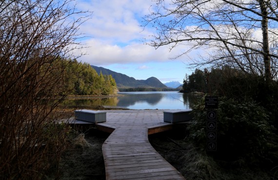 8-jamies-rainforest-inn-mer 8-jamies-rainforest-inn-mer