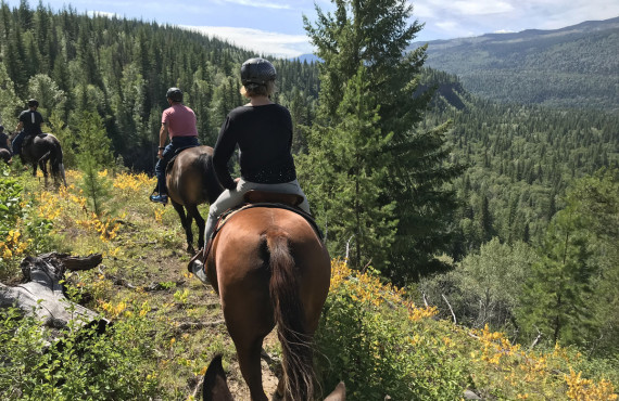 Équitation Équitation