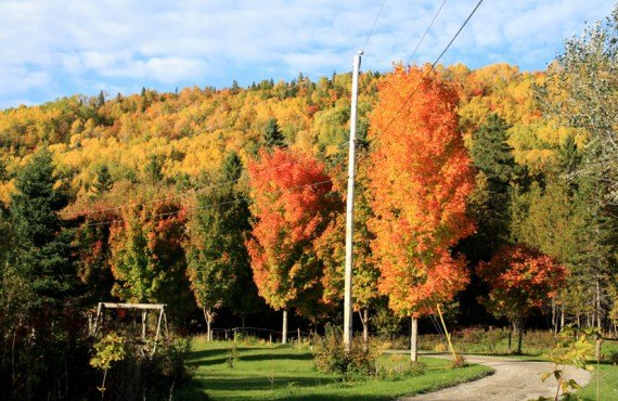 9-aub-wanta-qo-ti-automne 9-aub-wanta-qo-ti-automne