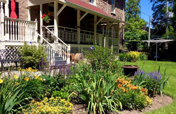 Garden Garden