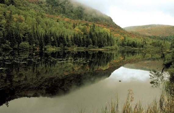 Parc national de la Mauricie en automne (Tourisme Quebec, Jean-François Bergeron - Enviro Foto) Parc national de la Mauricie en automne (Tourisme Quebec, Jean-François Bergeron - Enviro Foto)