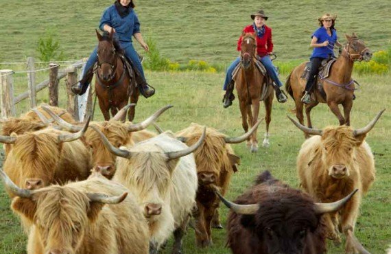 Pourvoirie du Baluchon - Cowboy dans l'âme Pourvoirie du Baluchon - Cowboy dans l'âme