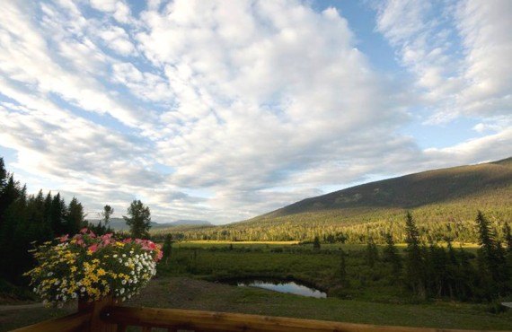 Ranch Clearwater Springs - Vue de la terrasse Ranch Clearwater Springs - Vue de la terrasse