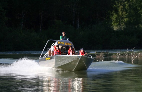 Safari ours Wells Gray Safari ours Wells Gray