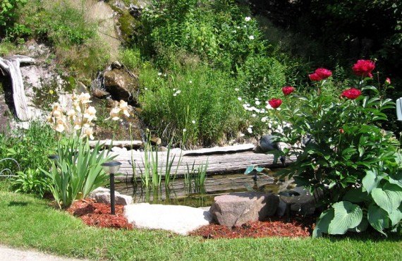 91-gite-roupillon-jardin 91-gite-roupillon-jardin