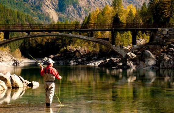 91-hilton-garden-inn-kalispell-peche 91-hilton-garden-inn-kalispell-peche