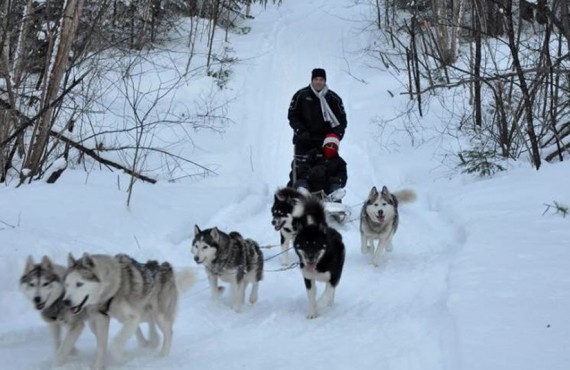 Pourvoirie du Nord - Traîneau à chiens Pourvoirie du Nord - Traîneau à chiens