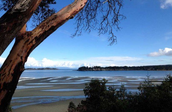 Tigh-Na-Mara - Plage aux alentours Tigh-Na-Mara - Plage aux alentours