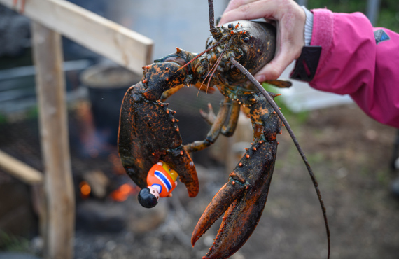 Pêche aux Homards Pêche aux Homards