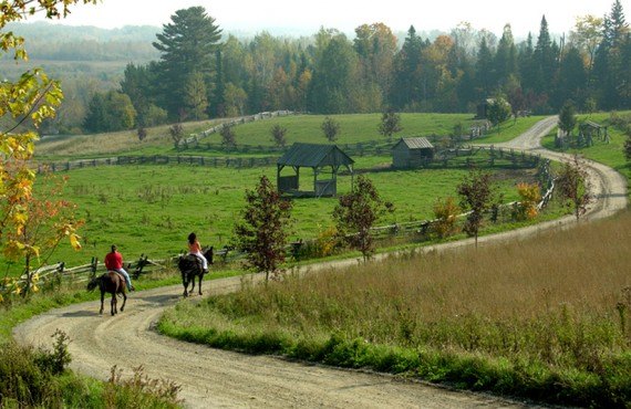 Pourvoirie du Baluchon - Randonnée à cheval Pourvoirie du Baluchon - Randonnée à cheval