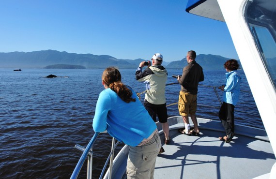 Pourvoirie Canadian Princess - Observation des baleines Pourvoirie Canadian Princess - Observation des baleines
