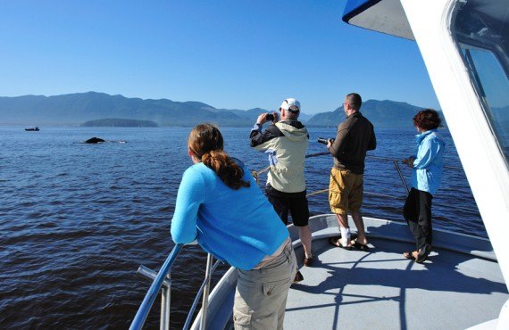 Pourvoirie Canadian Princess - Observation des baleines Pourvoirie Canadian Princess - Observation des baleines