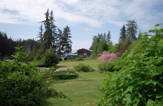 Jardin Jardin