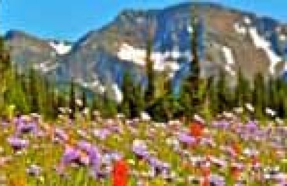 Wells-Gray-mont-trophy_1.jpg Wells-Gray-mont-trophy_1.jpg