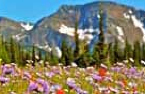 Wells-Gray-mont-trophy_2.jpg Wells-Gray-mont-trophy_2.jpg