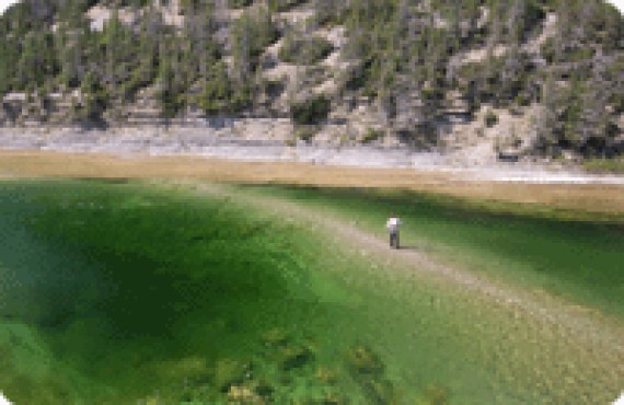 anticosti-4.gif anticosti-4.gif