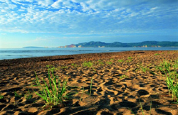 baie-des-chaleurs-plage.jpg baie-des-chaleurs-plage.jpg