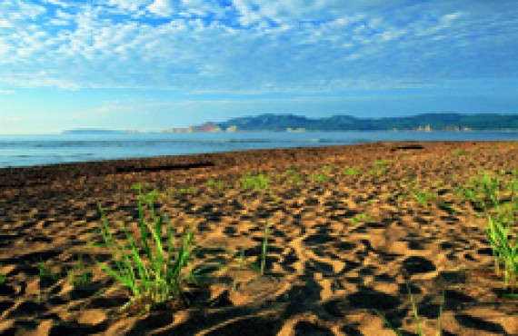 baie-des-chaleurs-plage_1.jpg baie-des-chaleurs-plage_1.jpg