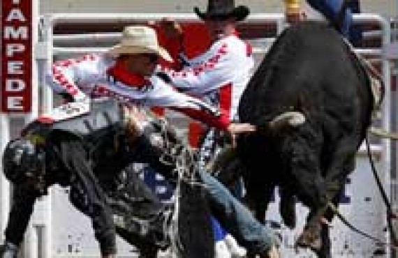 calgary-stampede.jpg calgary-stampede.jpg