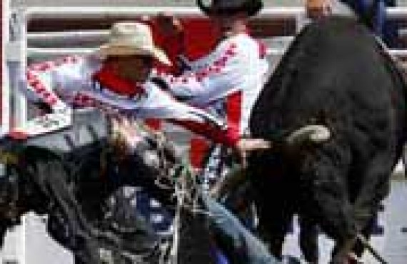 calgary-stampede_1.jpg calgary-stampede_1.jpg