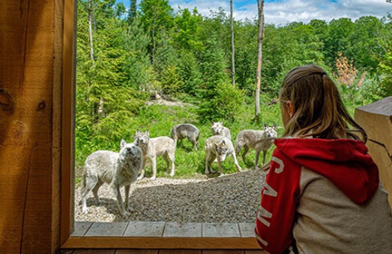 chaletloup.jpg chaletloup.jpg