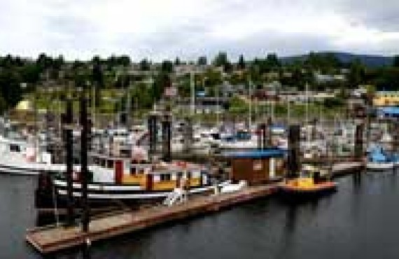 gibsons-village.jpg gibsons-village.jpg