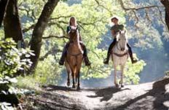 Équitation en forêt Équitation en forêt