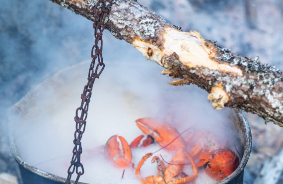 homard-mukutan.jpg homard-mukutan.jpg