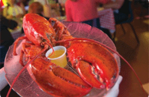 homard homard
