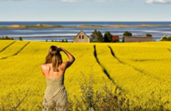 ile-du-prince-edouard-canada.jpg ile-du-prince-edouard-canada.jpg