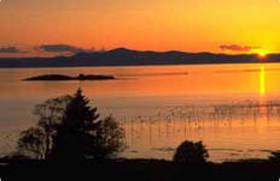 Battures dans la région de Kamouraska Battures dans la région de Kamouraska