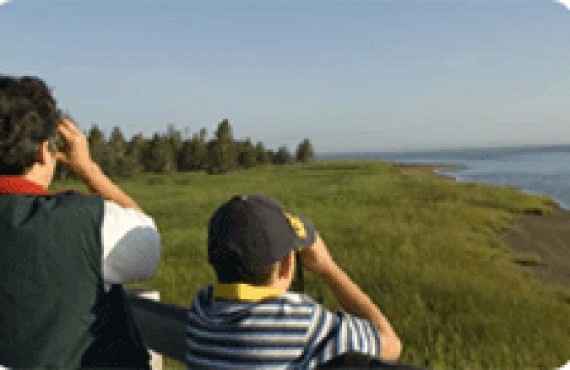 kouchibouguac-1.gif kouchibouguac-1.gif