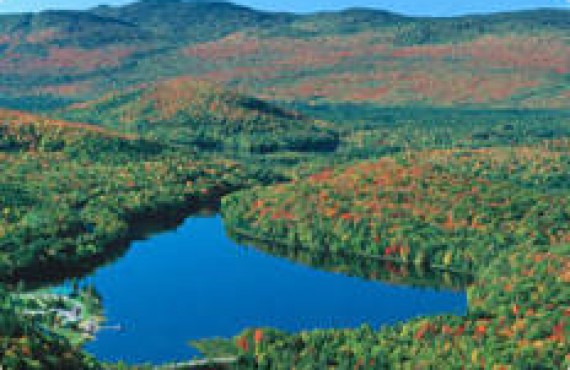 Une nature haute en couleurs Une nature haute en couleurs