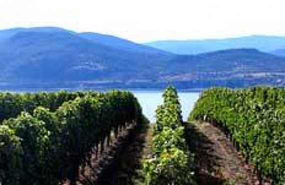 Vallée de l'Okanagan Vallée de l'Okanagan