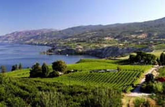 okanagan-vignoble.jpg okanagan-vignoble.jpg