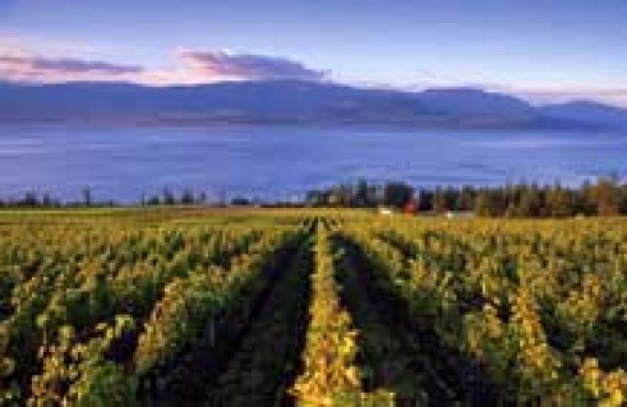 okanagan.jpg okanagan.jpg