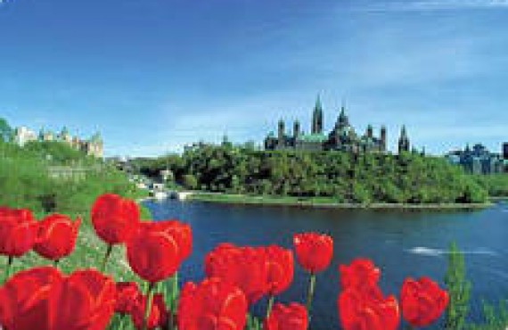 Ville d'Ottawa Ville d'Ottawa