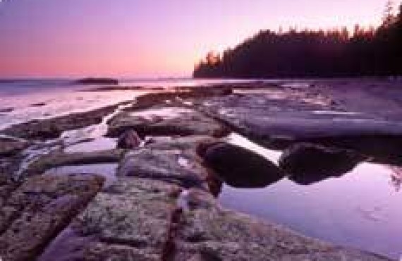 Pacific Rim National Park Pacific Rim National Park