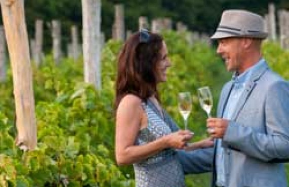 La route des vins, Cantons-de-l'Est La route des vins, Cantons-de-l'Est