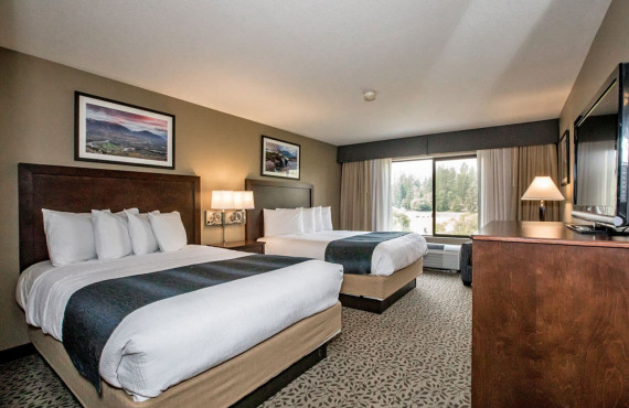 the-pine-lodge-chb-standard-1.jpg the-pine-lodge-chb-standard-1.jpg