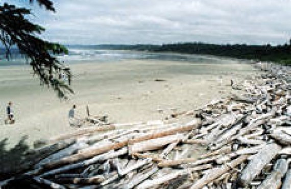 Pacific Rim National Park Pacific Rim National Park