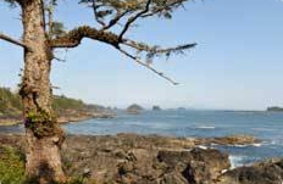 Pacific Rim National Park Pacific Rim National Park