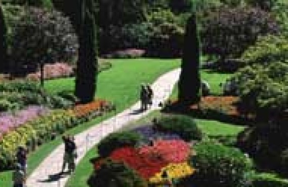 victoria-butchard-garden.jpg victoria-butchard-garden.jpg