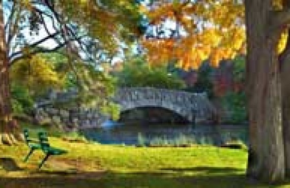 victoria-park.jpg victoria-park.jpg